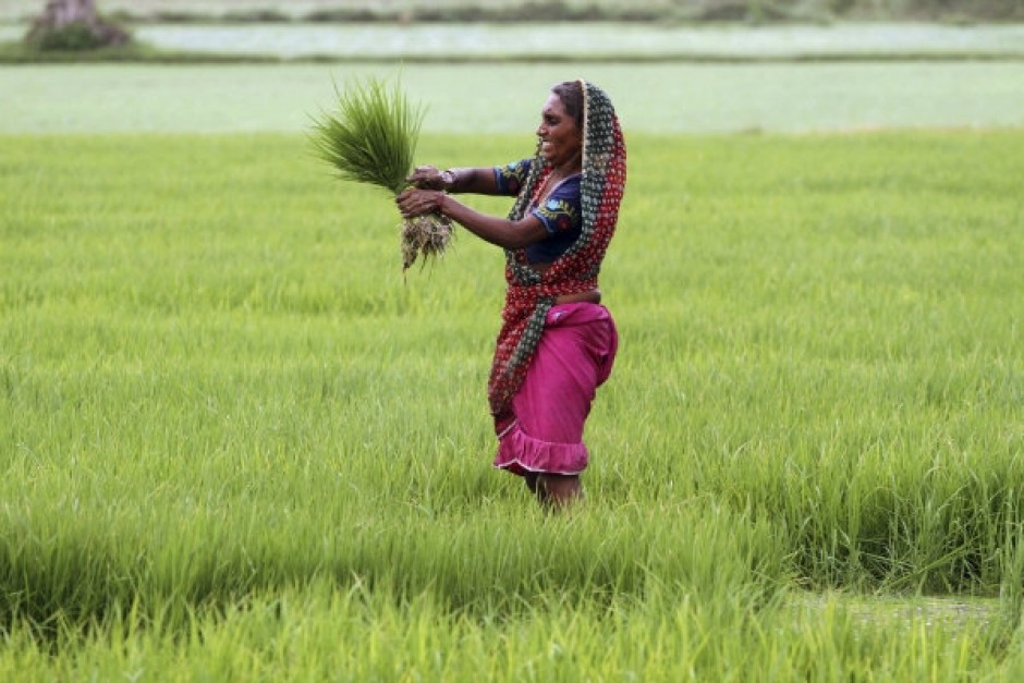 Celebrating Women Farmers Paving the Way to a Better Future through Sustainable Agriculture